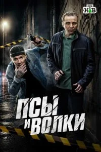 Псы и волки смотреть онлайн бесплатно в хорошем HD качестве — ЛордФильм